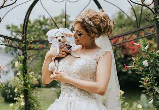 Mi corona 👰👑 - 3