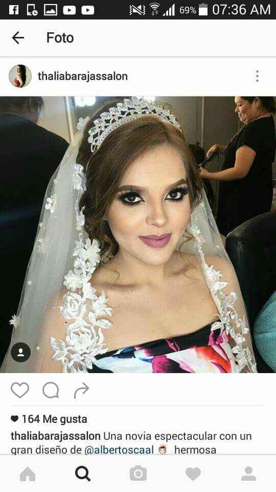 Peinado semirecogido...que tipo de velo? - 2