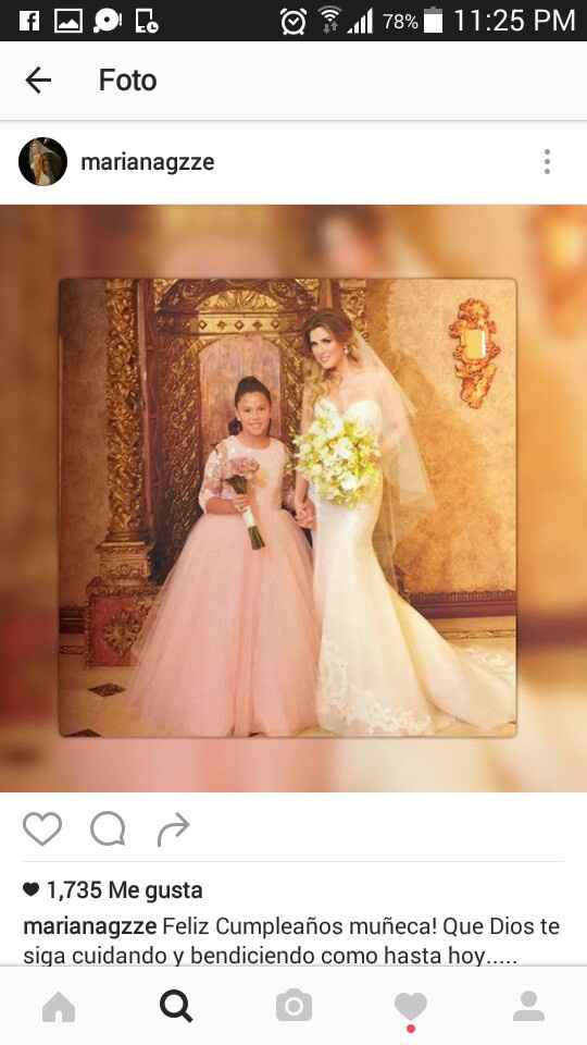 Peinado semirecogido...que tipo de velo? - 6