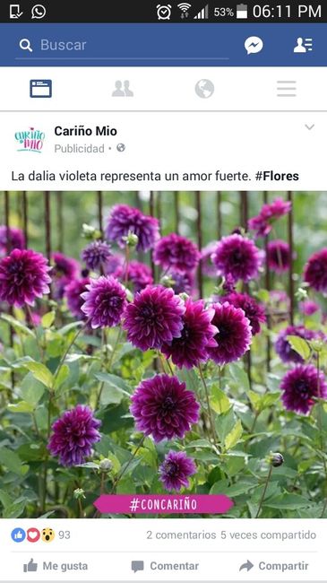 Que fiesta tema de despedida tendrán ?? - 4