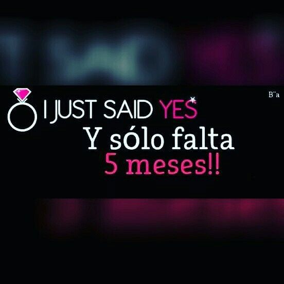 Verónica kassandra: me presento - 1