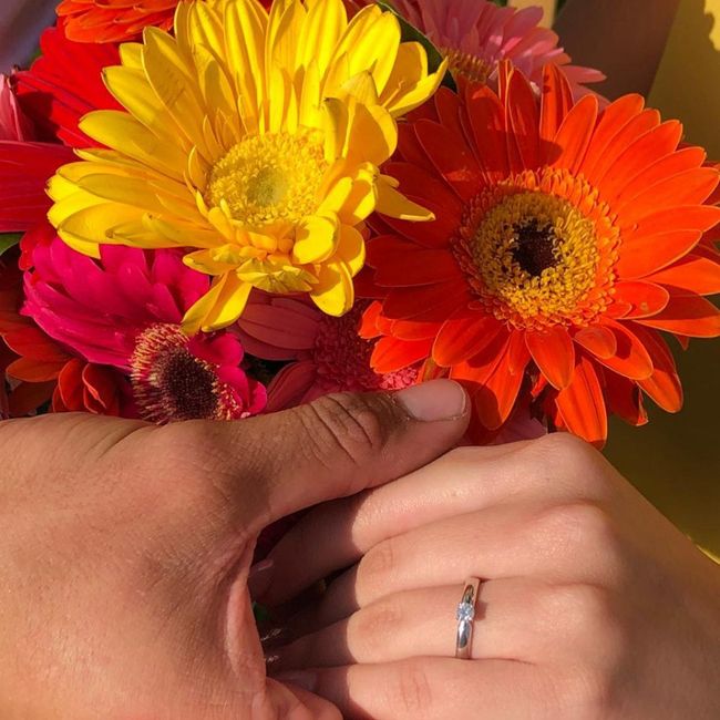 Anillo de compromiso Adria 1