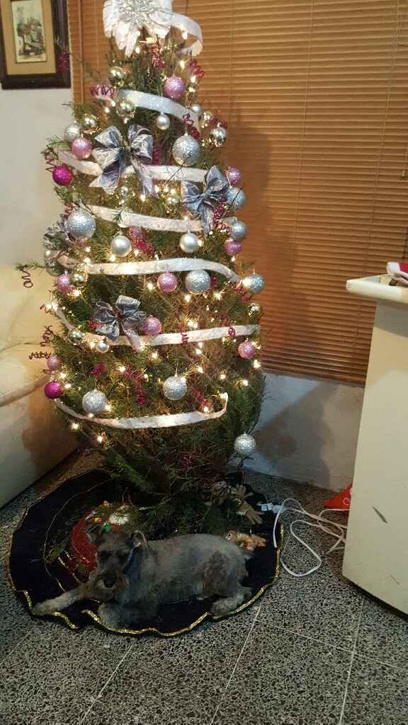 "ultima navidad"!! - 1