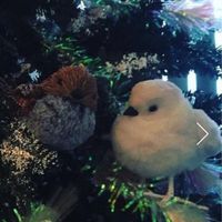 Esta parejita es adorable y la pondré en el pastel - 1