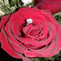 Hubiera elegido otro anillo de compromiso: ¿V o F? - 1