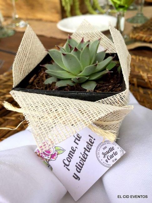 Plantas de recuerdo