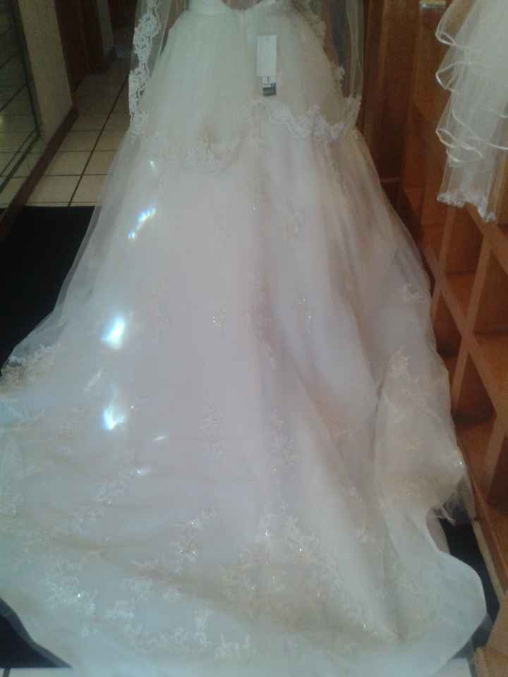 cauda de mi vestido