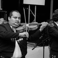 El Mariachi