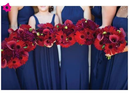 La combinación de colores para mis damas - 3