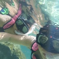 snorkel