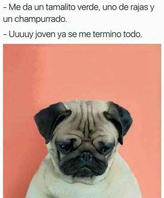 Kilos más, kilos menos. - 2