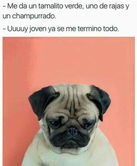 Kilos más, kilos menos. - 2