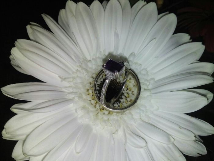 Quieres casarte conmigo??? - 2