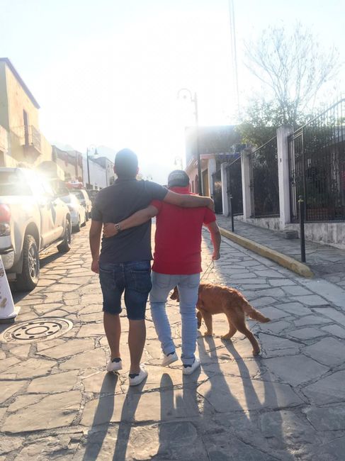 Estamos a 100 días! sos Visita de inspección! - 1