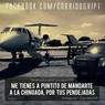 Perlita