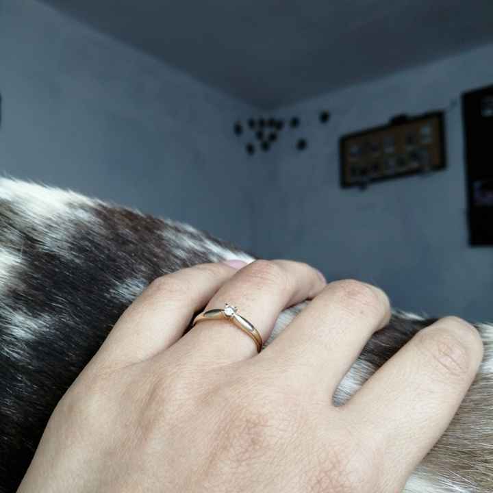 Compromiso:¿Te lo esperabas o fue sorpresa? - 1