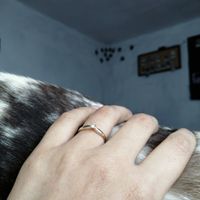 Compromiso:¿Te lo esperabas o fue sorpresa? - 1