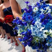 vestido azul marino , zapatillas rojas 