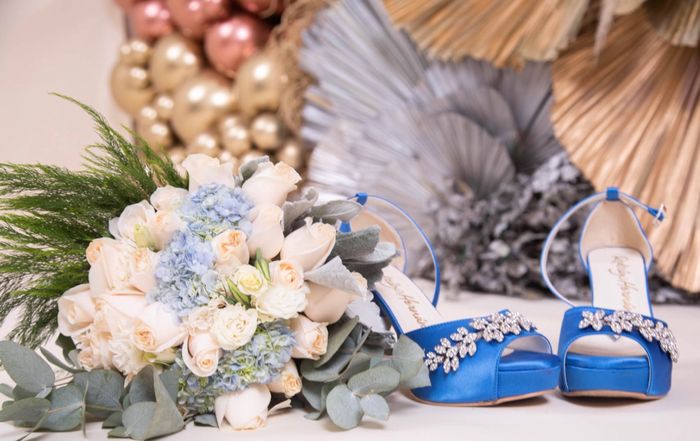 Zapatos de novia , cuál es el mejor ? 1