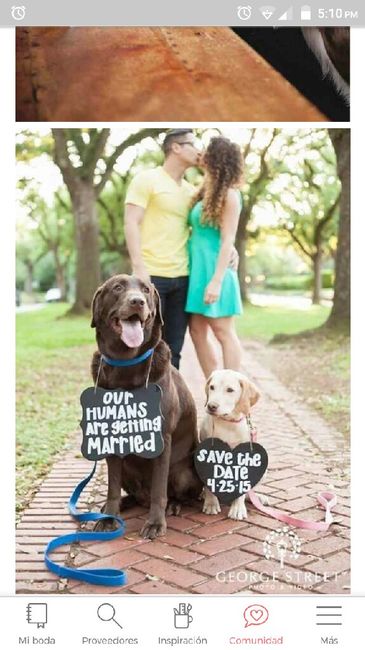 Wedding shoot: Perrhijos 11