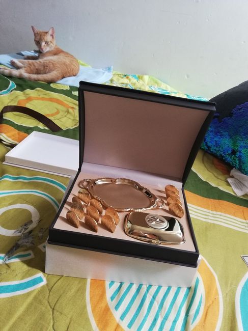 Arras / Foto Paparazzi del Gato :P