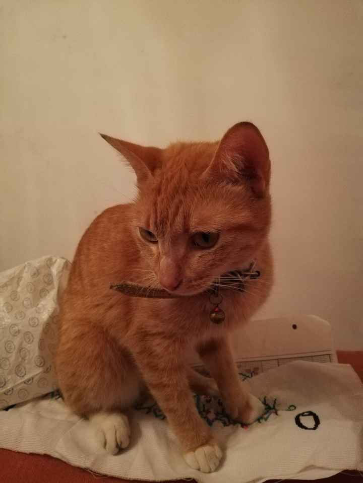 Greta a veces me ayudaba (o algo así)