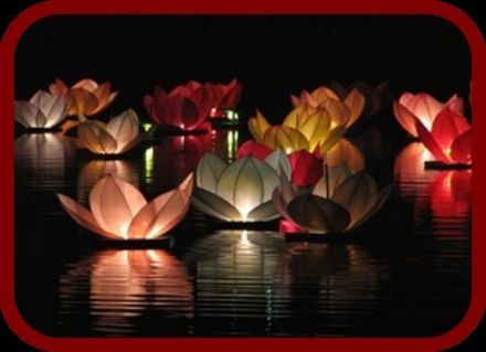 Flores iluminadas