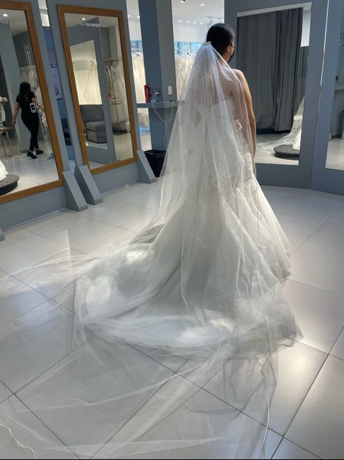 Ya tengo vestido!!! - 1