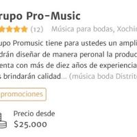 Pro Music