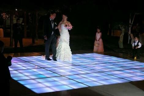 Salón o jardín? :o - 2