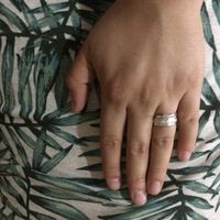 Mis anillos - 1