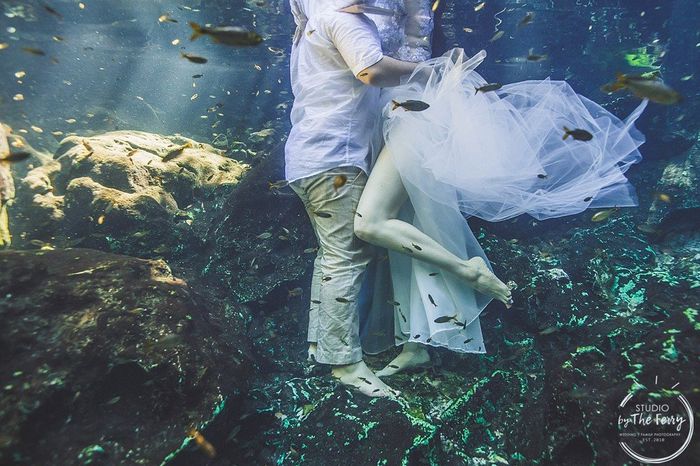 trash the dress