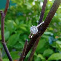 Si hubieras podido elegir el anillo de compromiso.. - 1