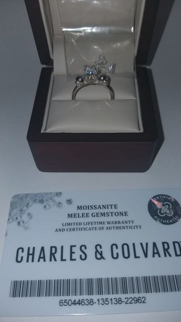 Obligatorio usar siempre el anillo de compromiso - 1