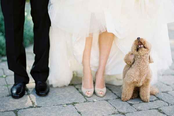 Mi damita de honor...