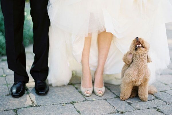 Mi damita de honor...