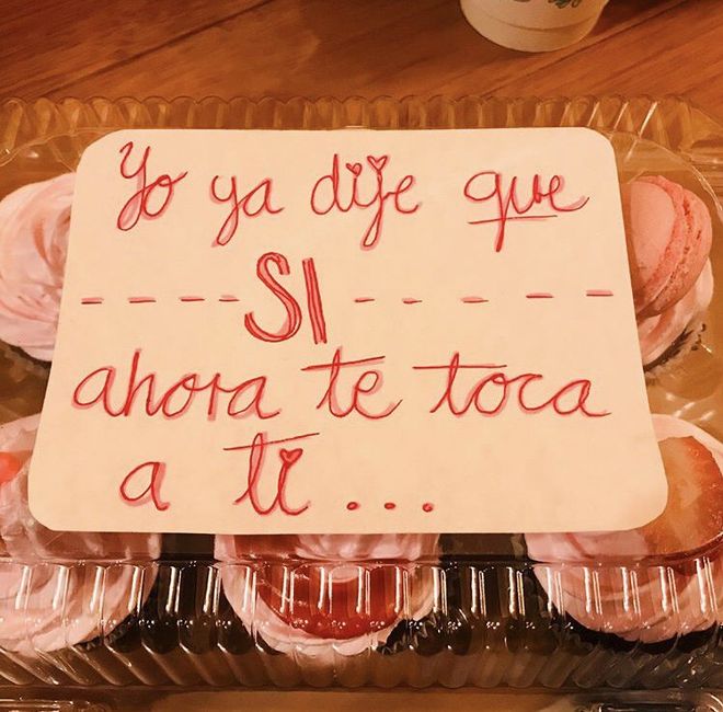 ¿como le pidieron a sus damas que fueran? 5