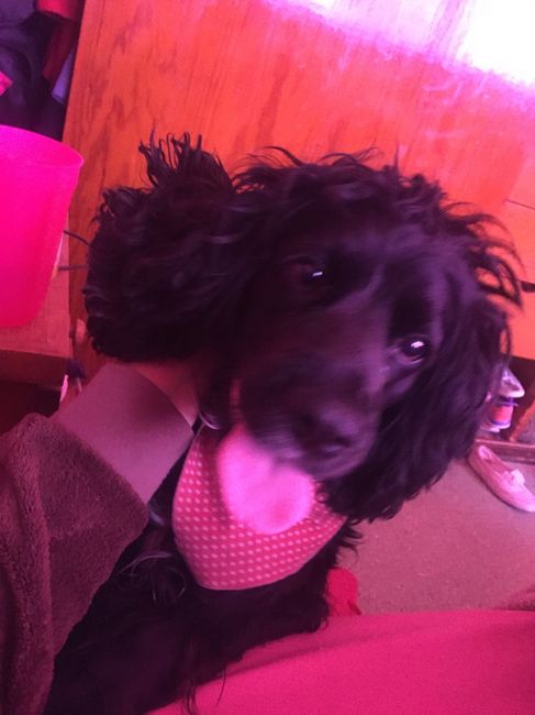 Mi fm dante orlando en 3 imágenes - 1