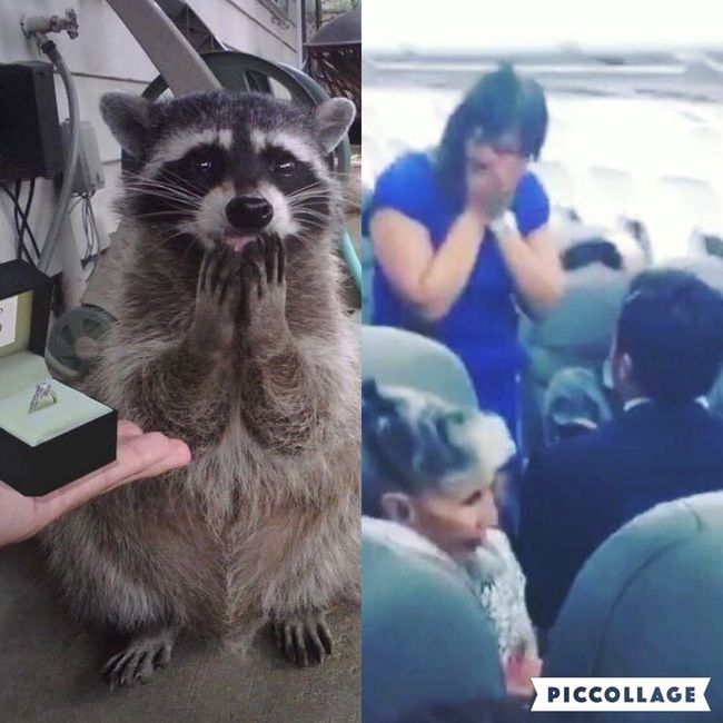 Cualquier parecido con la realidad es mera coincidencia