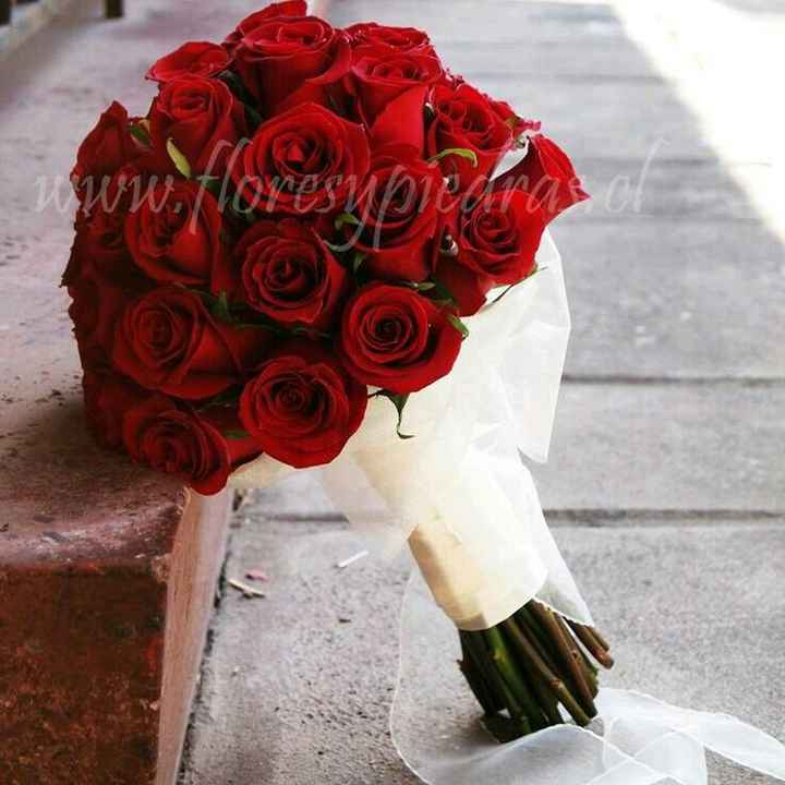 Ramo rojo?? - 1