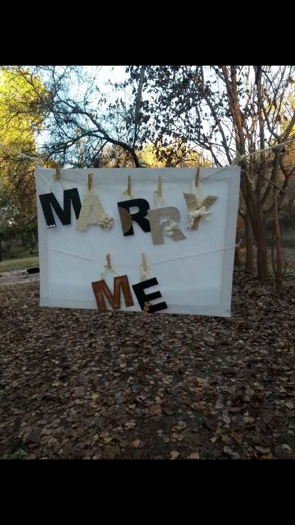 ¿Cómo fue tu propuesta de matrimonio? - 1