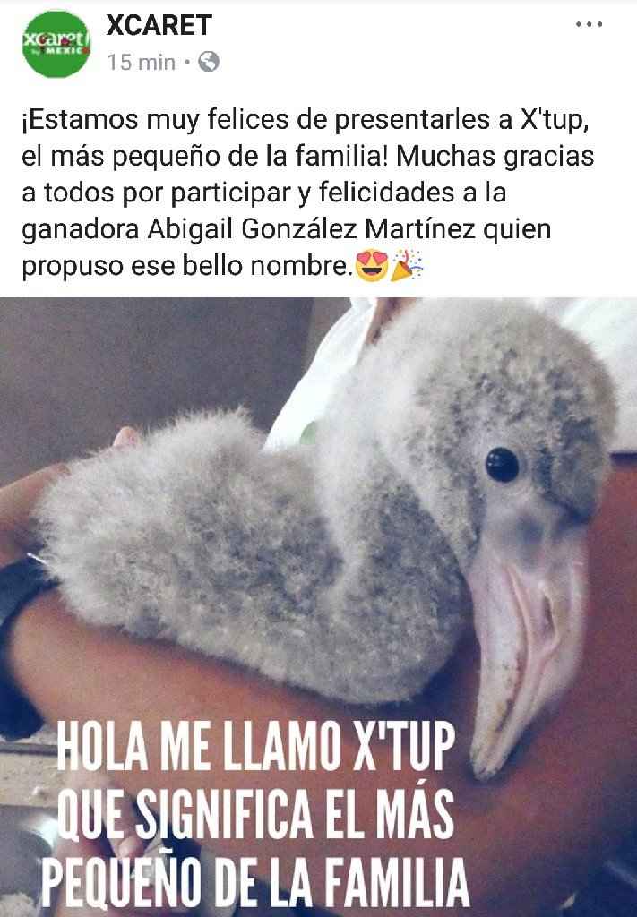 Gane pases para Xcaret - 1