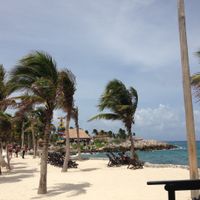 XCARET