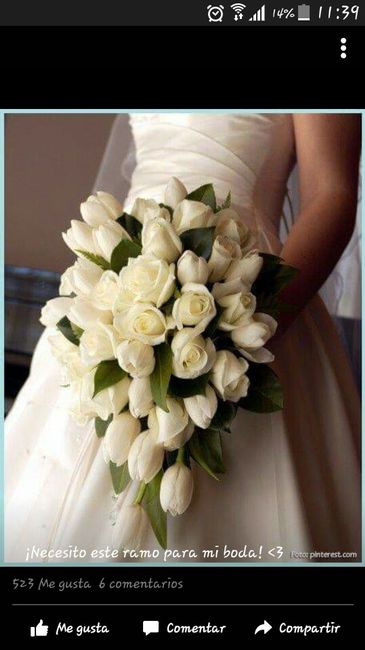 Novios que nos casamos el 20 de Febrero de 2016 en Michoacán - 1