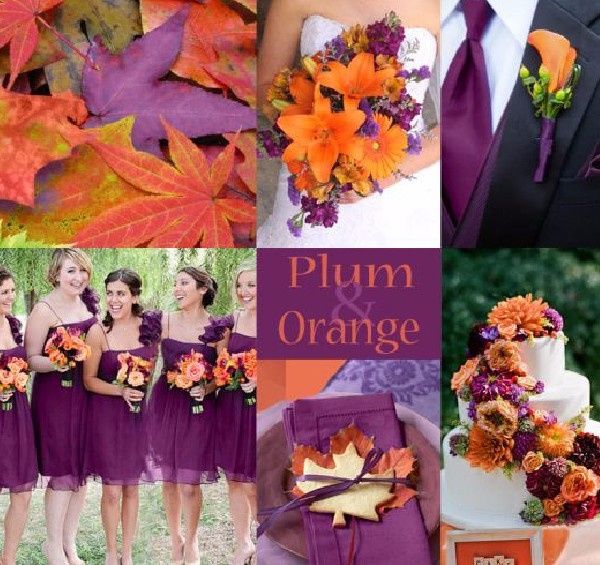 Color y tema!