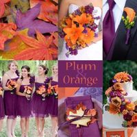 Color y tema!