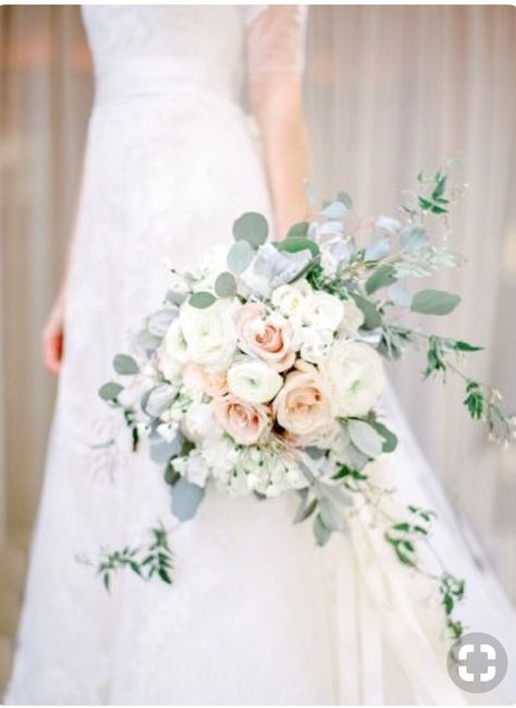 Pues vamos por el ramo 