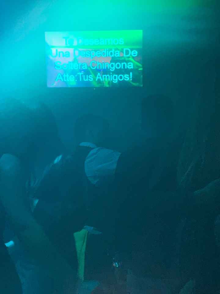 Mi despedida de soltera!! - 4