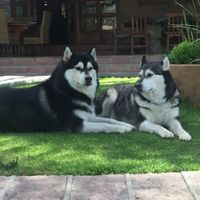 ¿Qué no puede faltar en tu boda? - 1