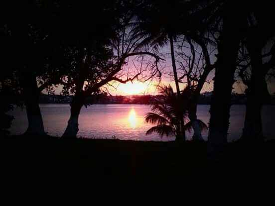 ¡ya elegimos jardín! - 3